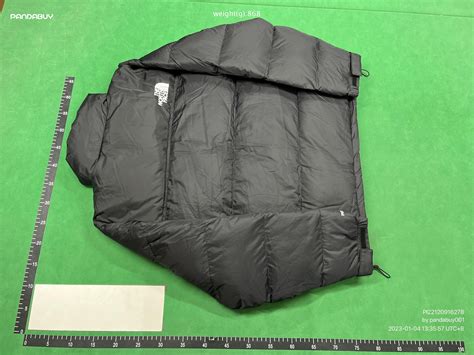 PANDABUY HAUL (NORTH FACE 1996 NUPTSE, TNF PANTS, .